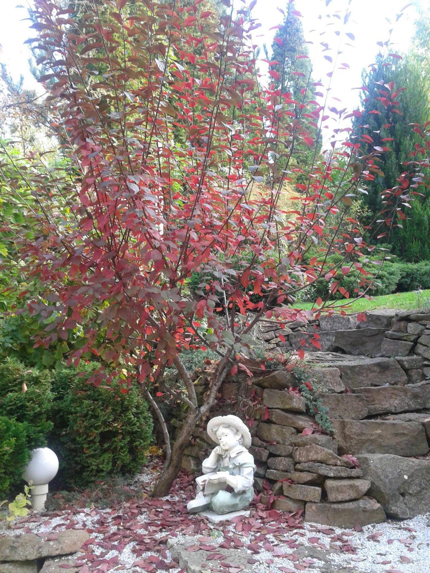 에게르 Cecey Vendeghaz B&B 외부 사진
